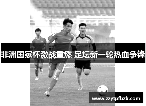 非洲国家杯激战重燃 足坛新一轮热血争锋